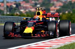 F1 Foto Poster van Max Verstappen tijdens de GP van Hongarije, Red Bull Racing 2017